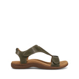 The Show - Olive
