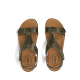 The Show - Olive
